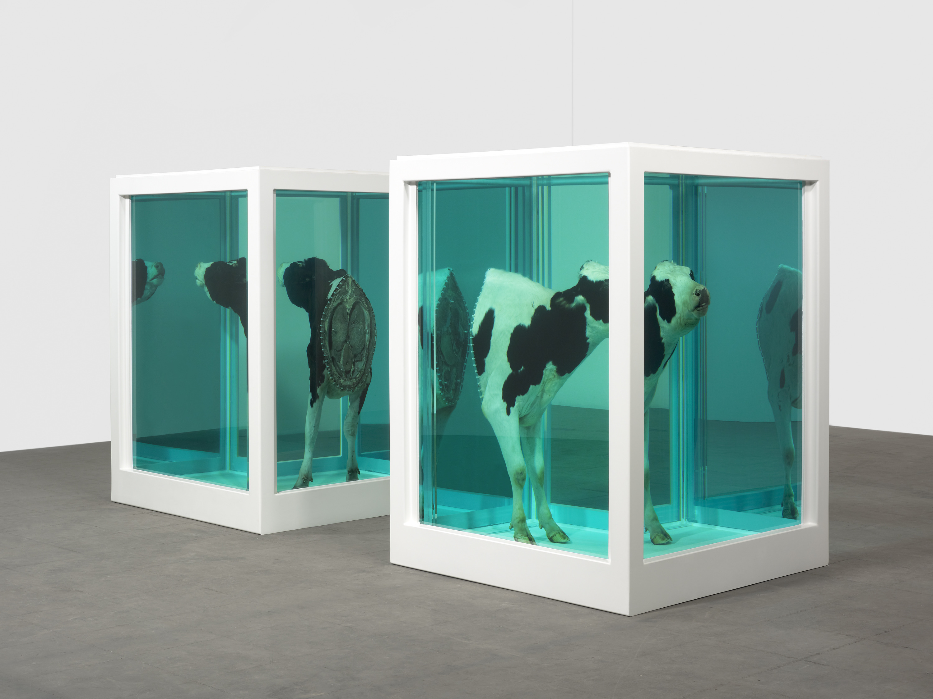 Damien Hirst, Love's Paradox, 2007. Фото: Prudence Cumming Associates